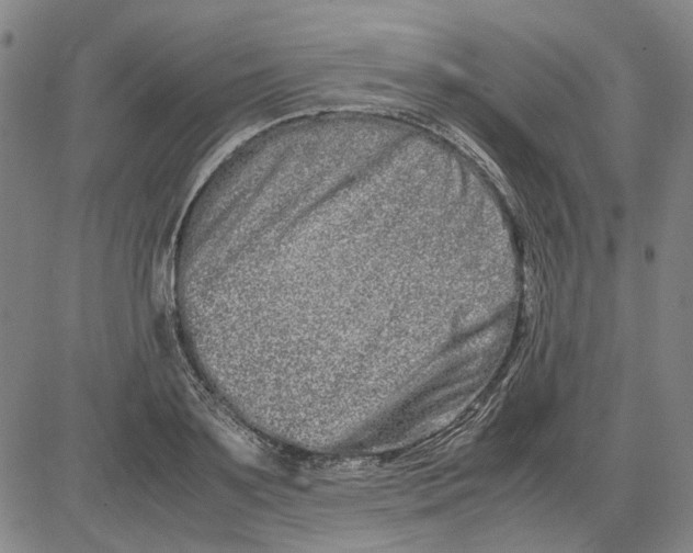 X0000081430891200702021649