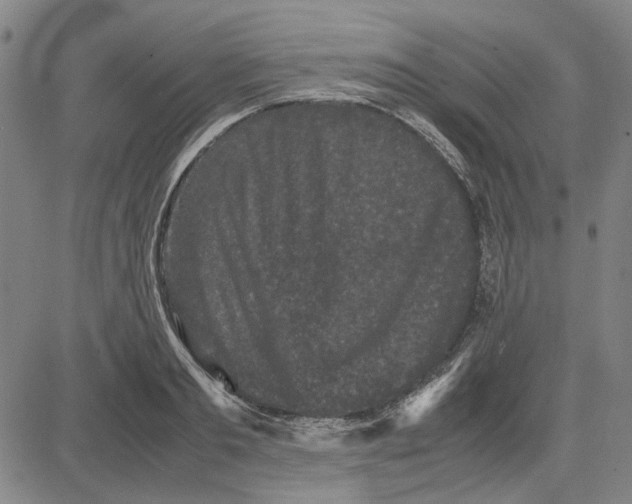 X0000081430893200702021649