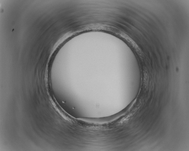 X0000081430894200702021649