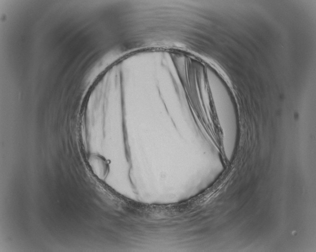 X0000081430895200702021649