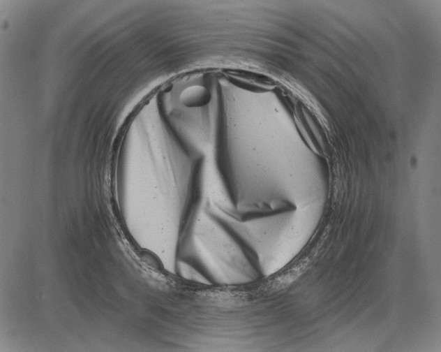 X0000081430896200702021649