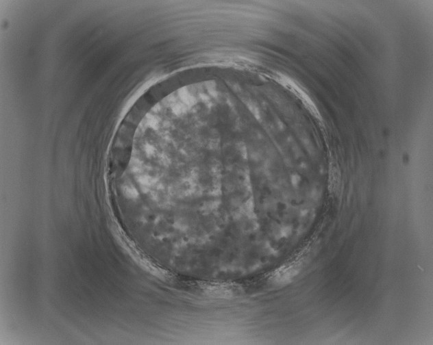 X0000081430899200702021649