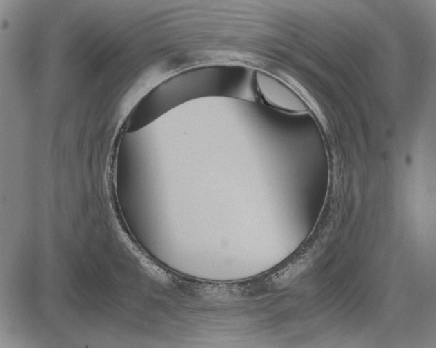 X0000081430901200702021649