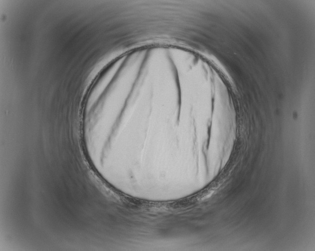 X0000081430903200702021649