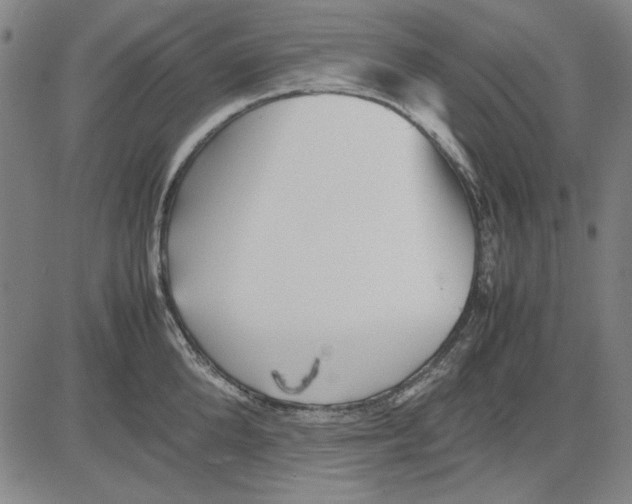 X0000081430904200702021649