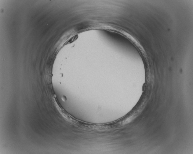 X0000081430905200702021649