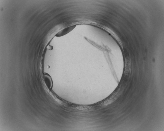 X0000081430906200702021649