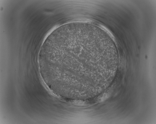 X0000081430907200702021649