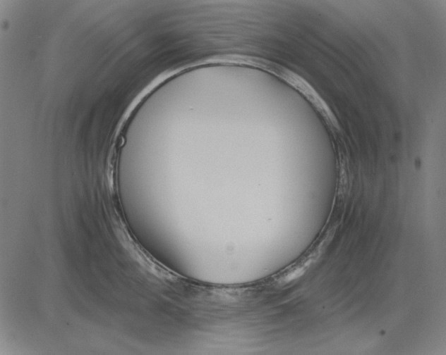 X0000081430908200702021649