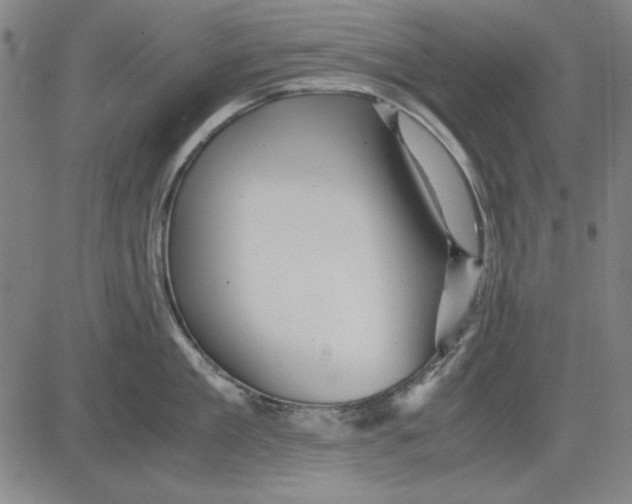 X0000081430909200702021649