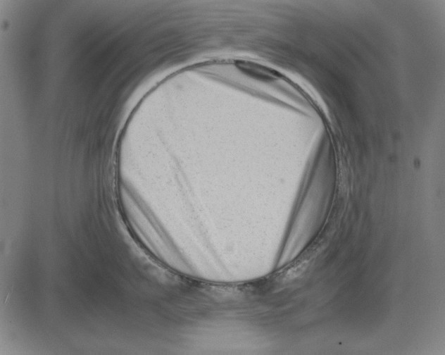 X0000081430911200702021649