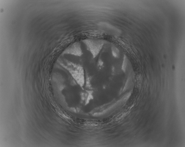 X0000081430913200702021648