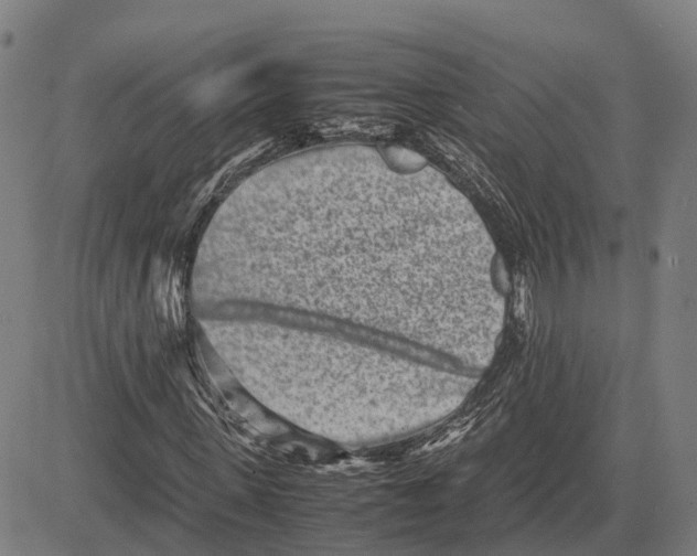 X0000081430915200702021648