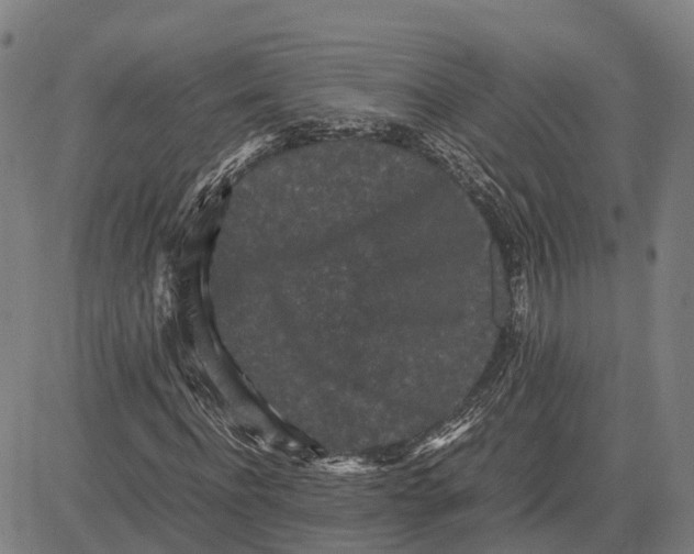 X0000081430916200702021648