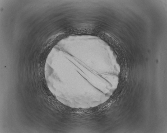 X0000081430917200702021648