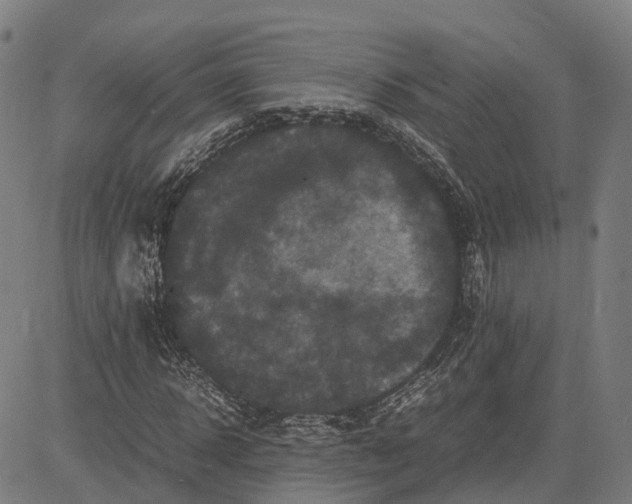 X0000081430918200702021648