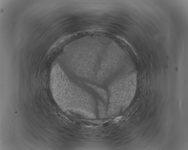 X0000081430919200702021648