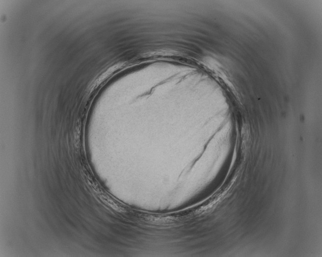 X0000081430921200702021648