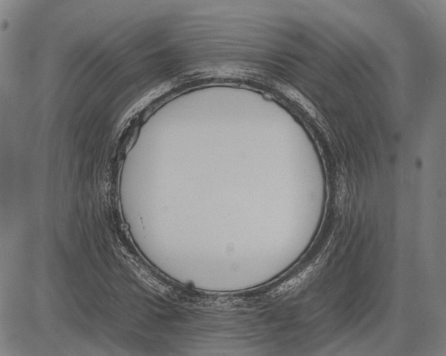 X0000081430922200702021648