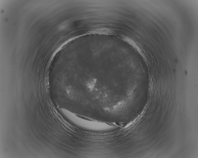 X0000081430923200702021648