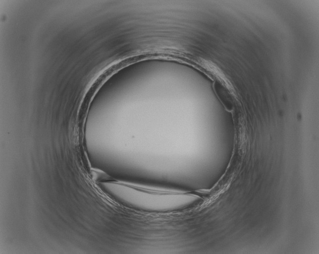 X0000081430924200702021648