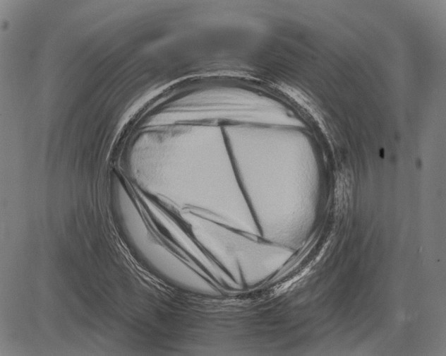 X0000081430925200702021649