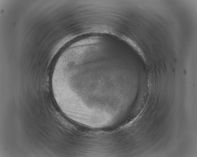 X0000081430926200702021649