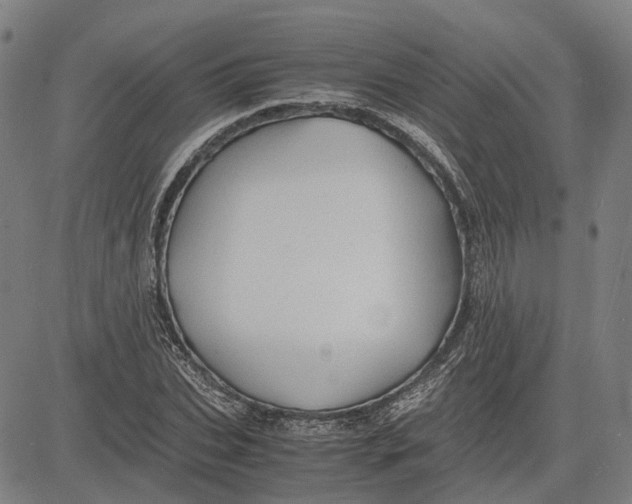 X0000081430927200702021649