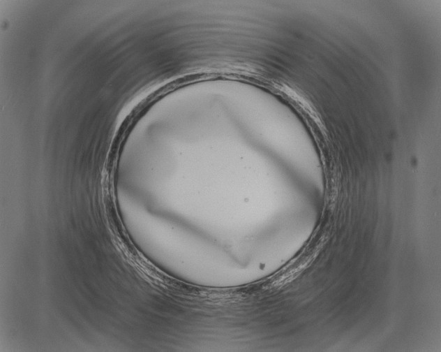 X0000081430928200702021649