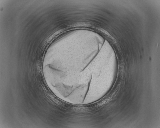 X0000081430929200702021649