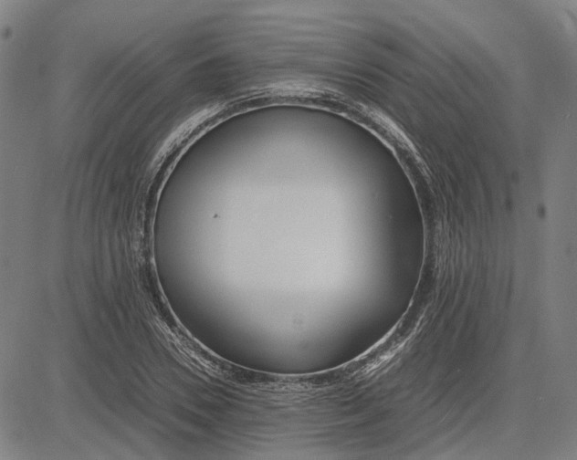 X0000081430930200702021649