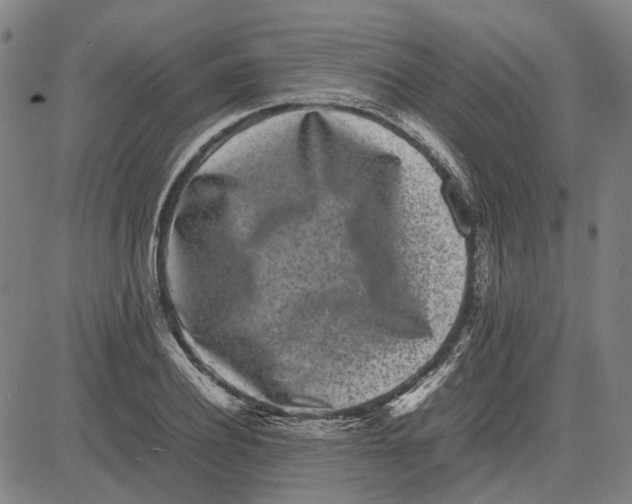 X0000081430932200702021649