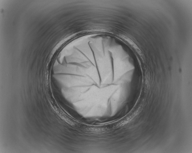 X0000081430933200702021649