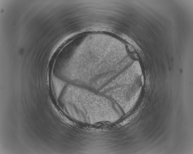 X0000081430934200702021649