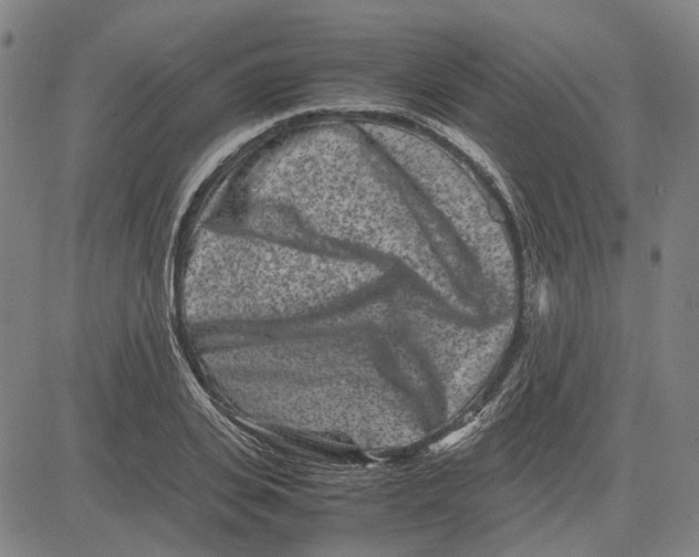 X0000081430935200702021649