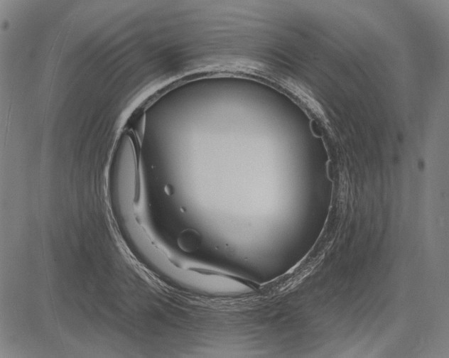 X0000081430936200702021649