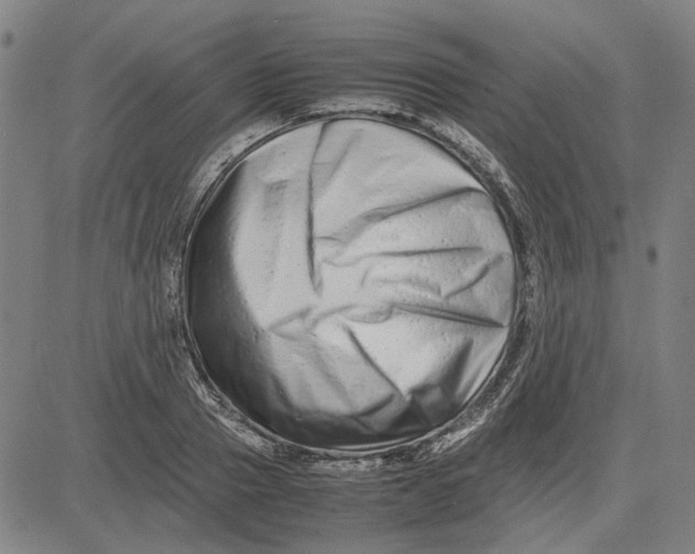 X0000081430937200702021649