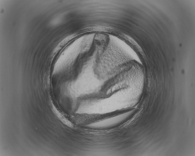 X0000081430938200702021649