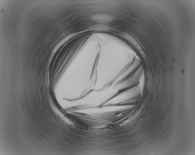 X0000081430939200702021649