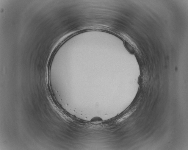 X0000081430940200702021649