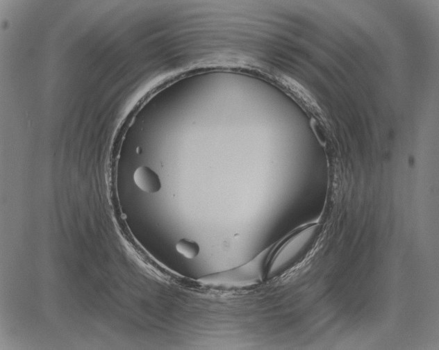 X0000081430942200702021649