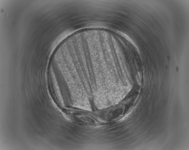 X0000081430943200702021649