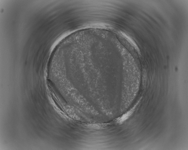 X0000081430944200702021649