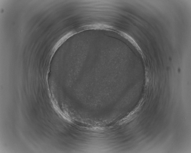 X0000081430946200702021649