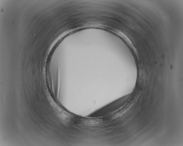 X0000081430947200702021649