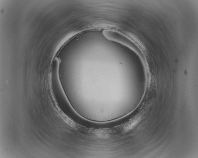 X0000081430948200702021649