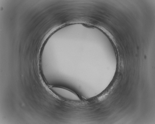 X0000081430949200702021649