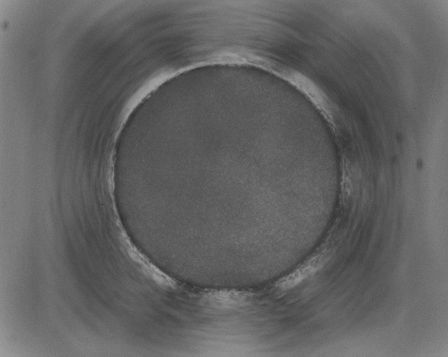 X0000081430950200702021649