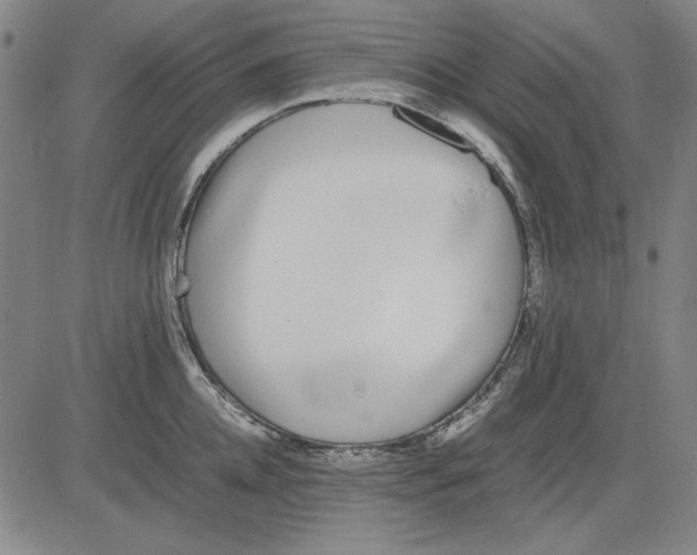 X0000081430952200702021649