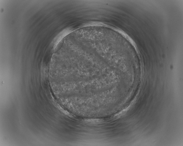 X0000081430953200702021649